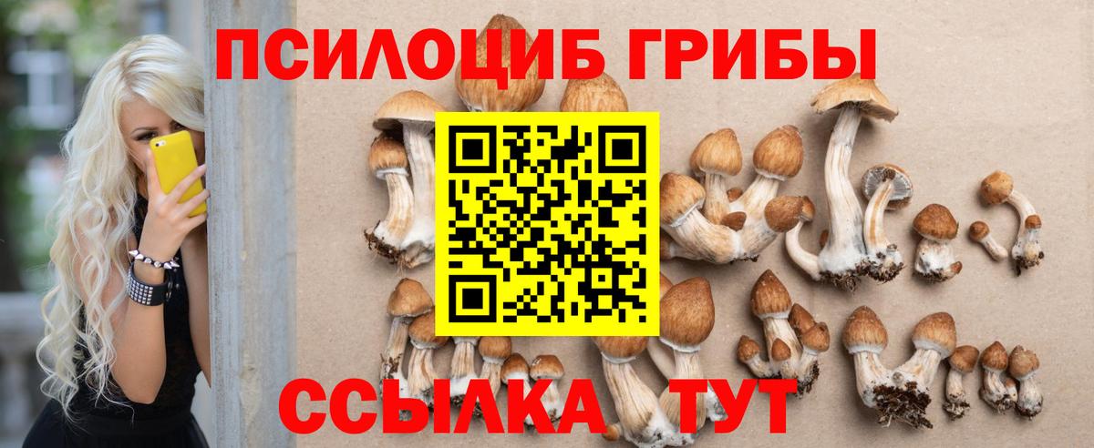 Анжеро-Судженск  Галлюциногенные грибы Cubensis  Псилоцибиновые грибы мухоморы  Вход с VPN 