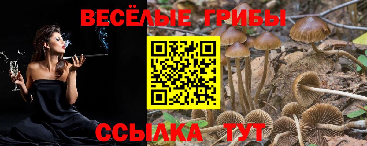 Галлюциногенные грибы ЛСД Анжеро-Судженск